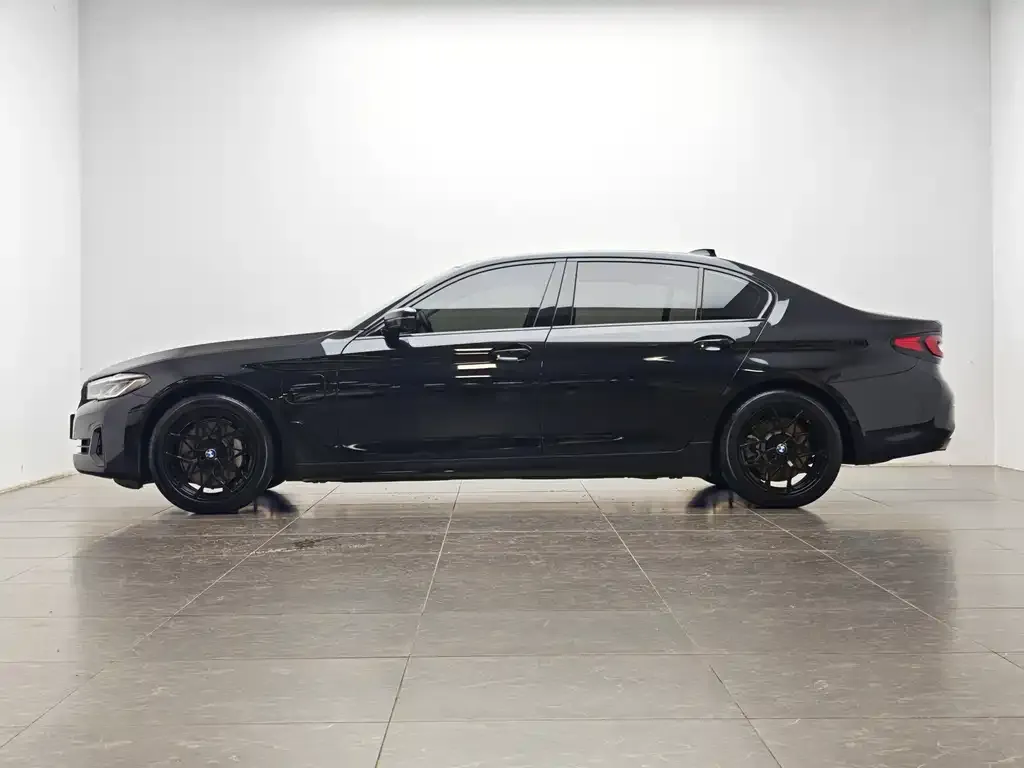 BMW 5 Series New Energy 2021 из CN, фото 8