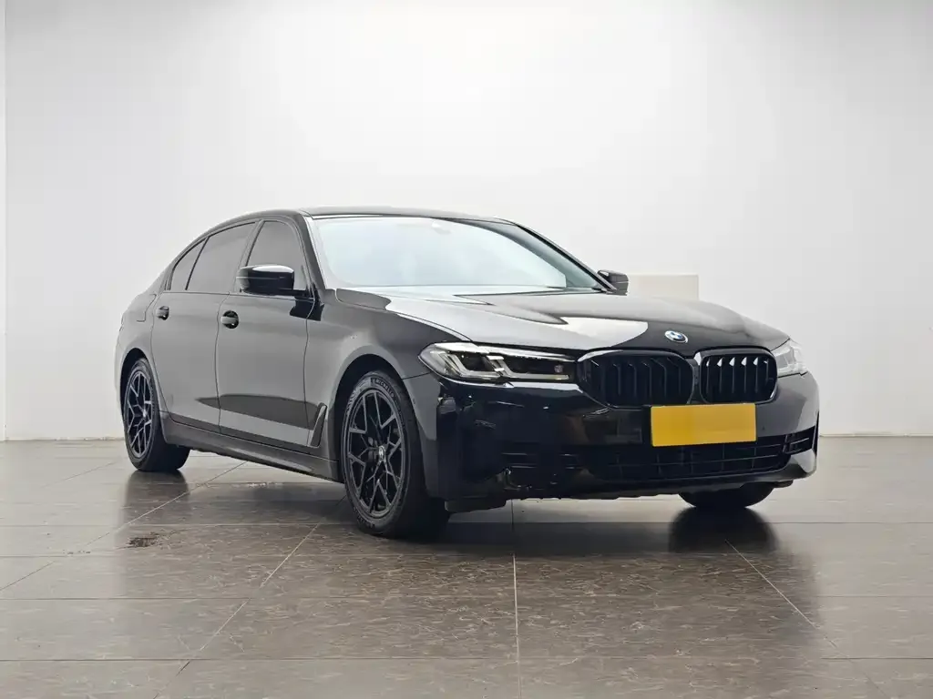 BMW 5 Series New Energy 2021 из CN, фото 4