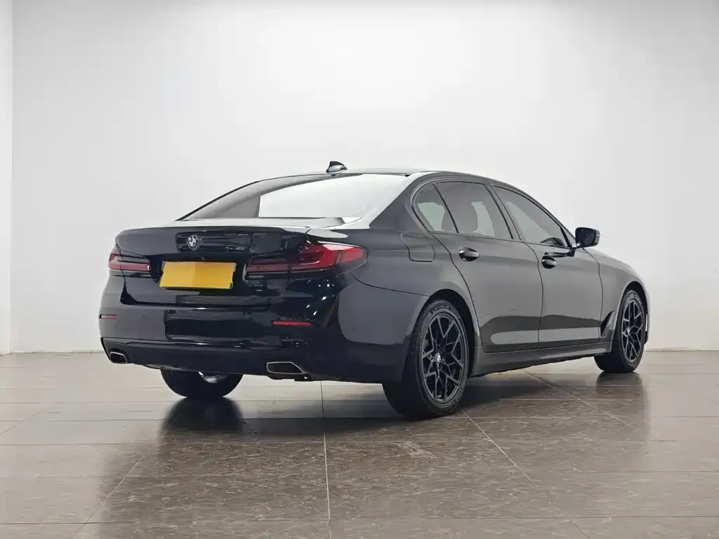BMW 5 Series New Energy 2021 из CN, фото 2