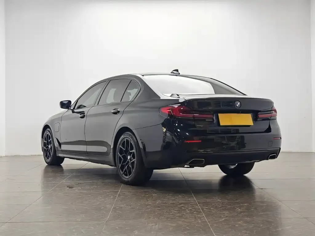 BMW 5 Series New Energy 2021 из CN, фото 7