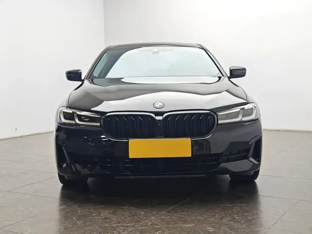 BMW 5 Series New Energy 2021 из CN, фото 5