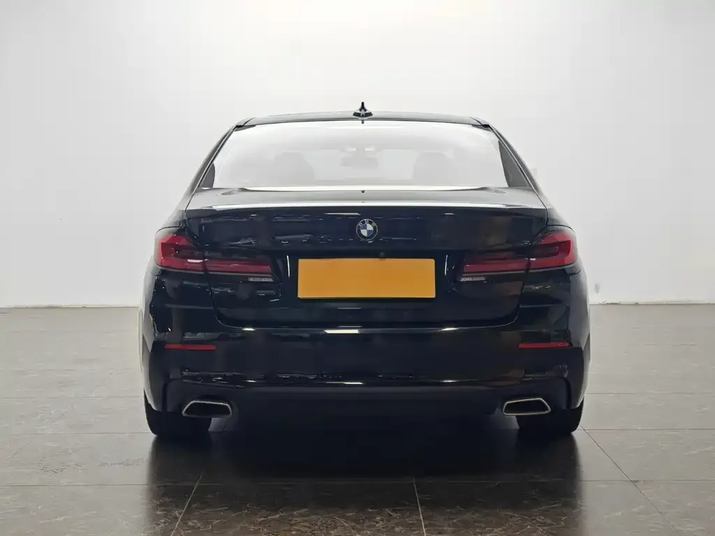 BMW 5 Series New Energy 2021 из CN, фото 6