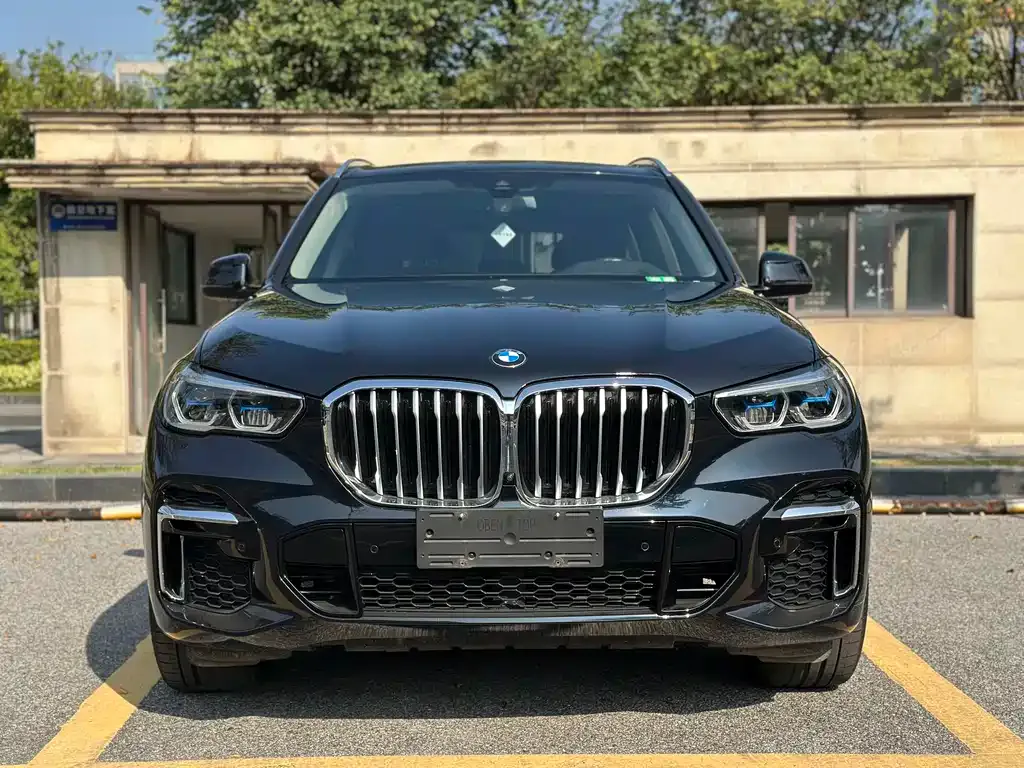 BMW X5 2023 из CN, фото 9