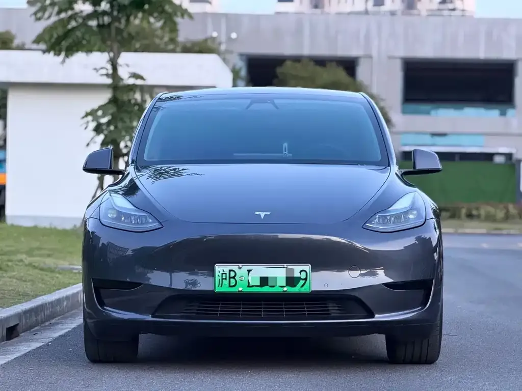 Tesla Model Y — фото 5