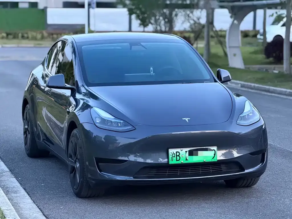 Tesla Model Y — фото 8