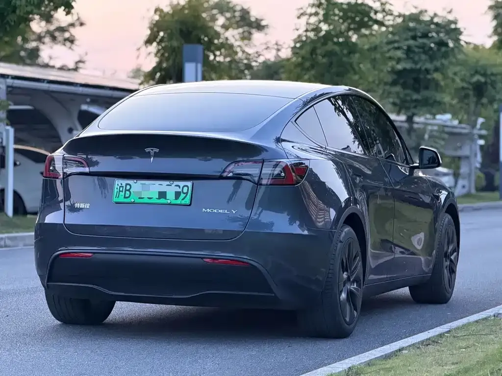 Tesla Model Y — фото 10