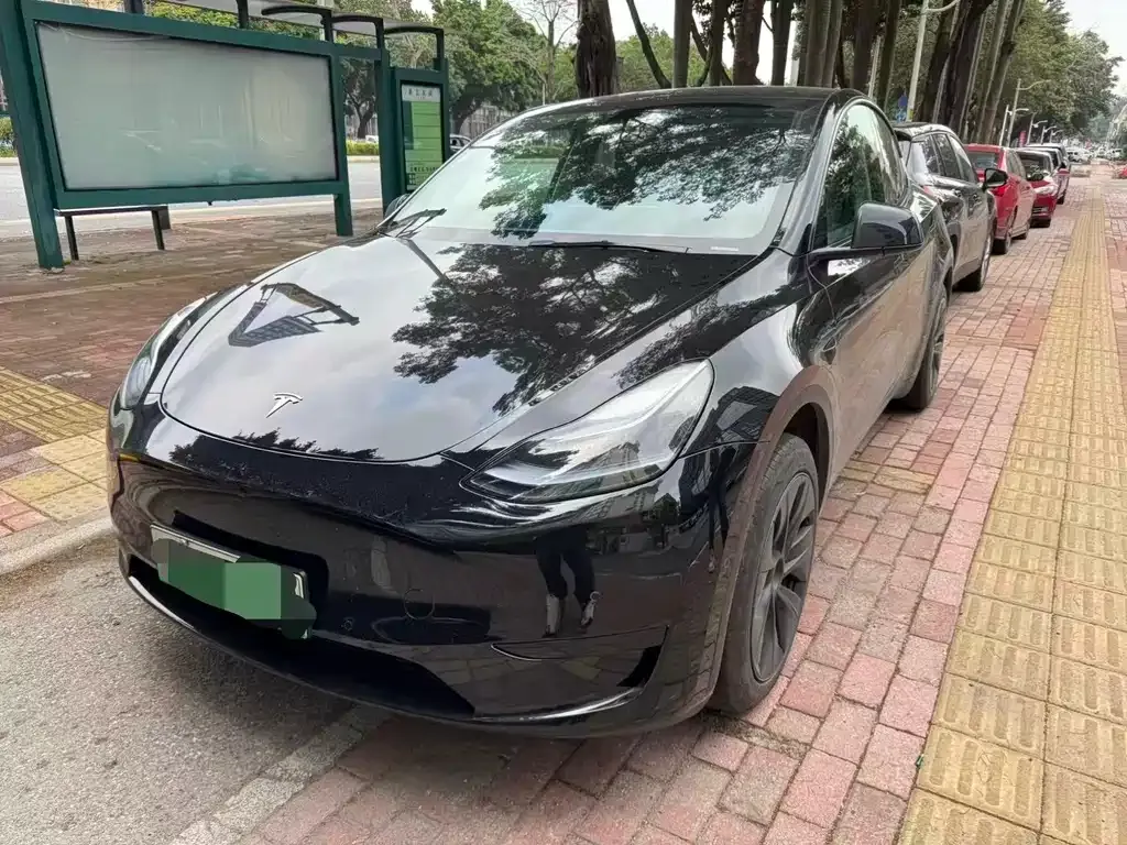 Tesla Model Y — фото 1