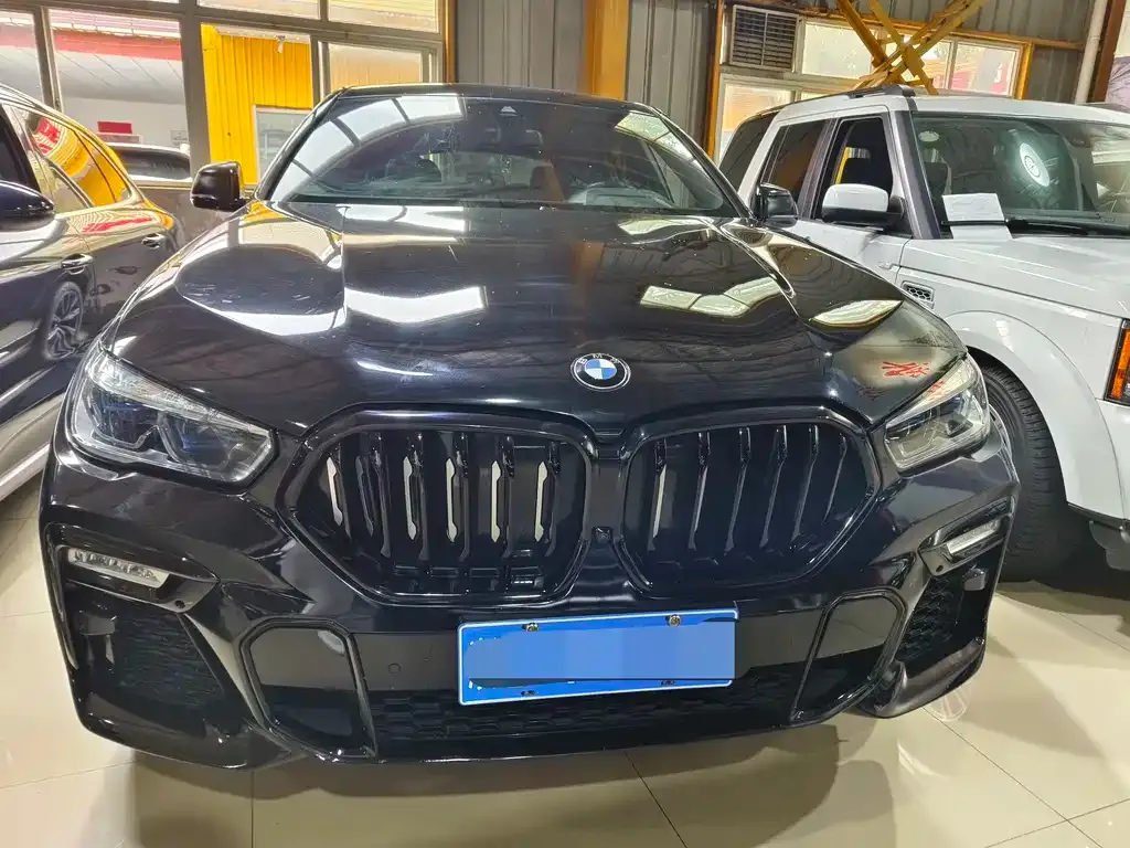 BMW X6 2021 из CN, фото 5