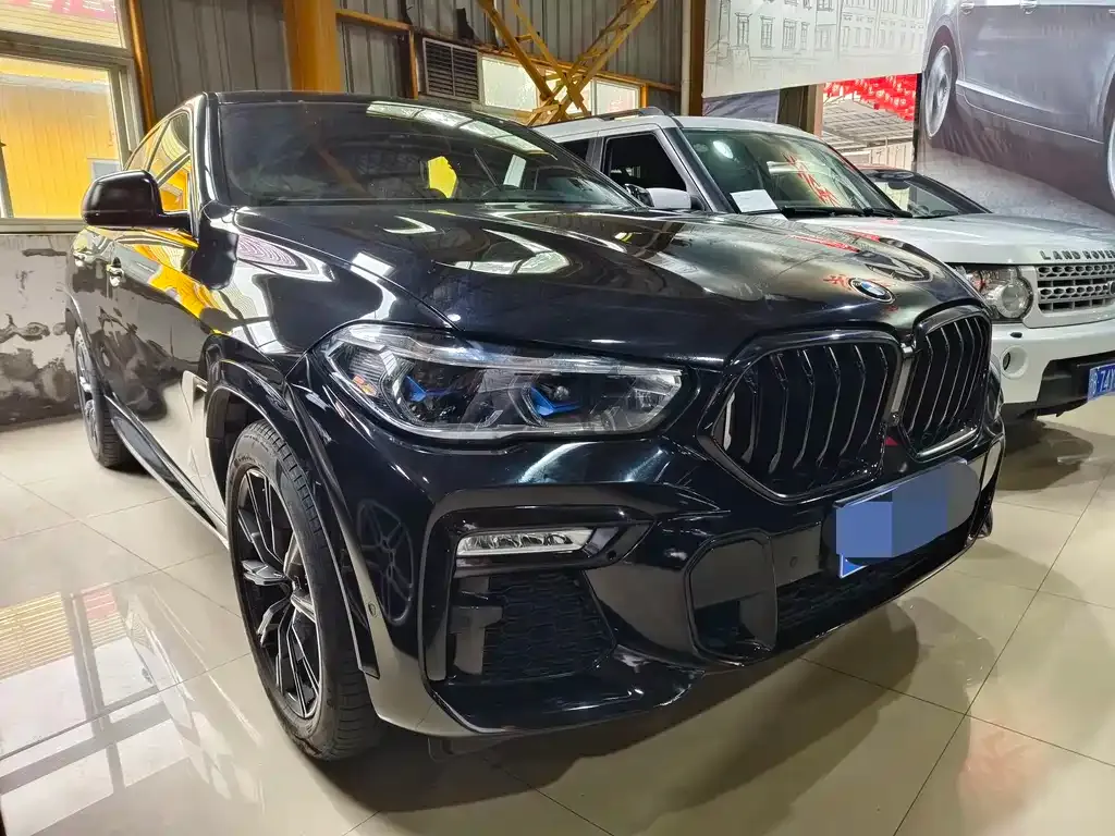 BMW X6 2021 из CN, фото 6