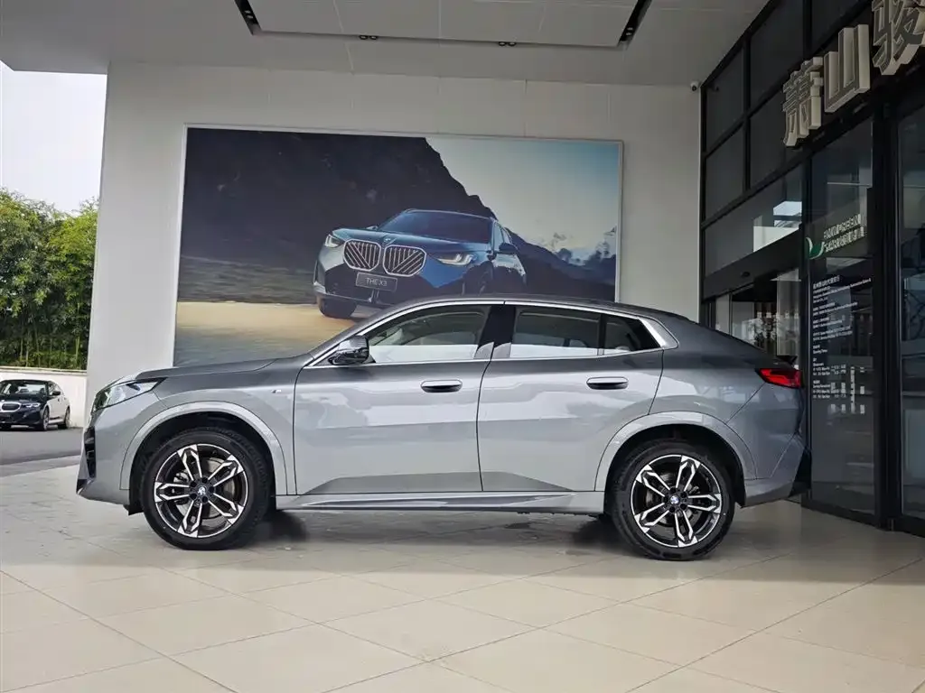 BMW X2 (Import) 2024 из CN, фото 6