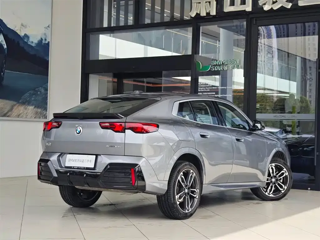 BMW X2 (Import) 2024 из CN, фото 5