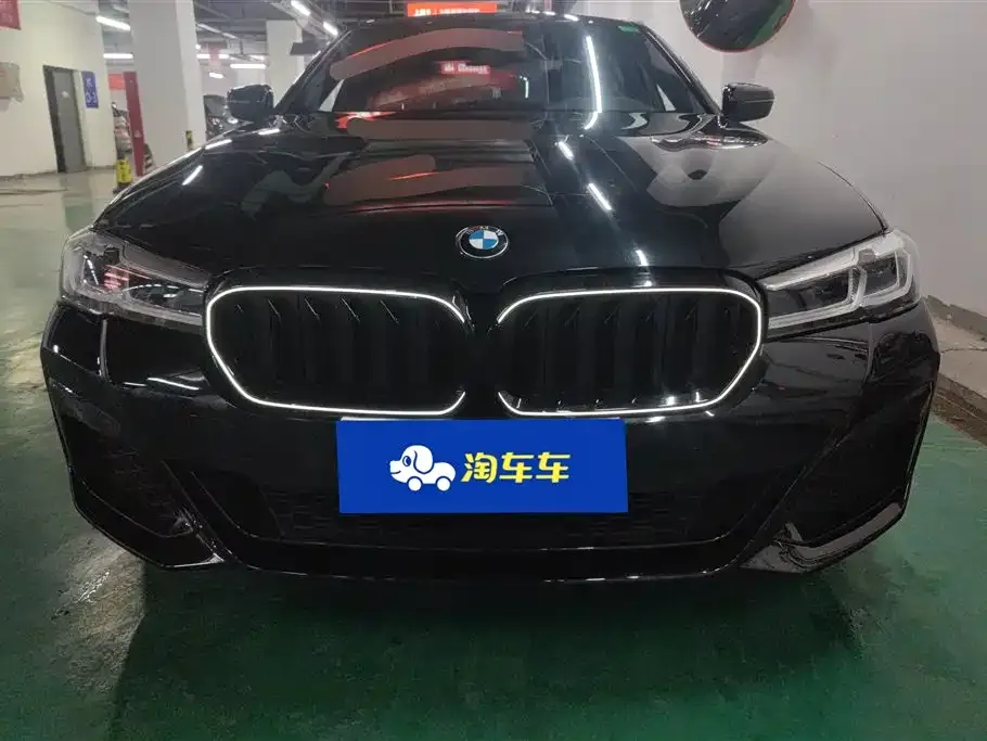 BMW 5 Series 2021 из CN, фото 8