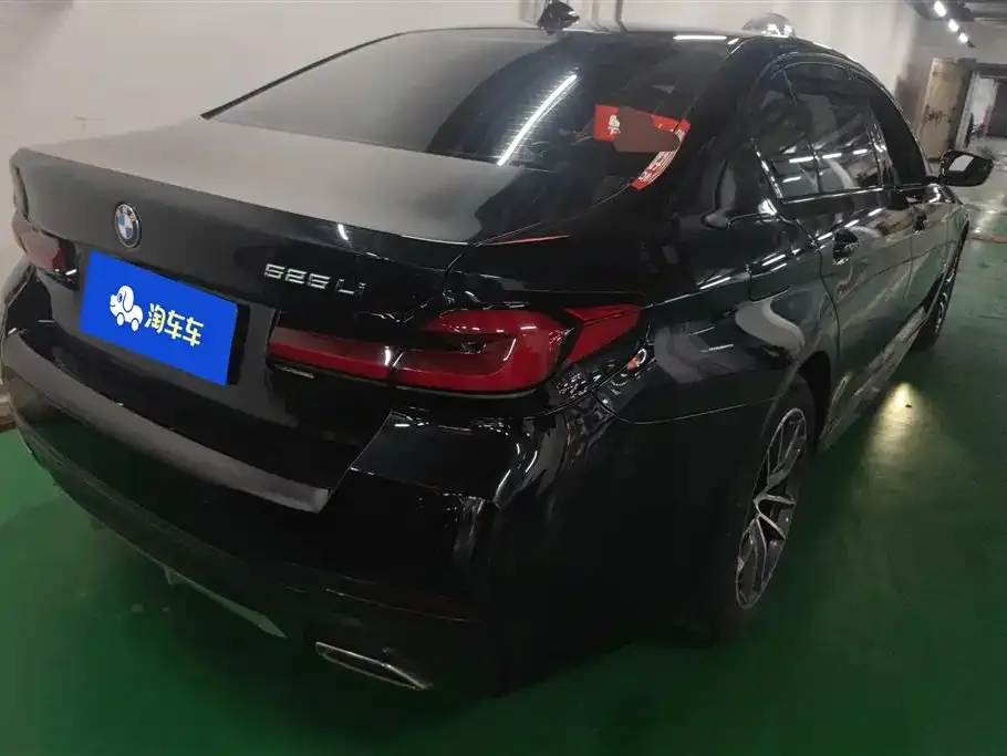 BMW 5 Series 2021 из CN, фото 4
