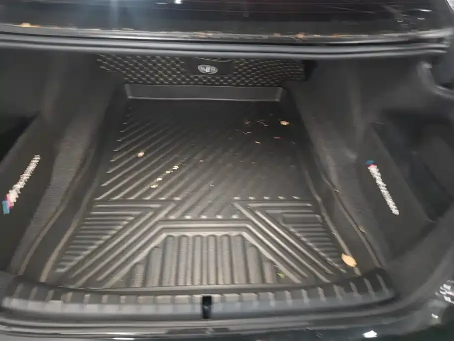 BMW 5 Series 2021 из CN, фото 5