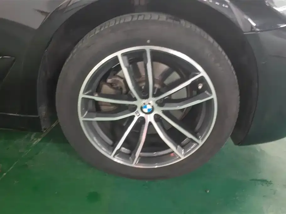 BMW 5 Series 2021 из CN, фото 6