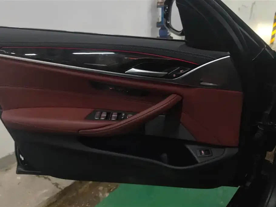 BMW 5 Series 2021 из CN, фото 7
