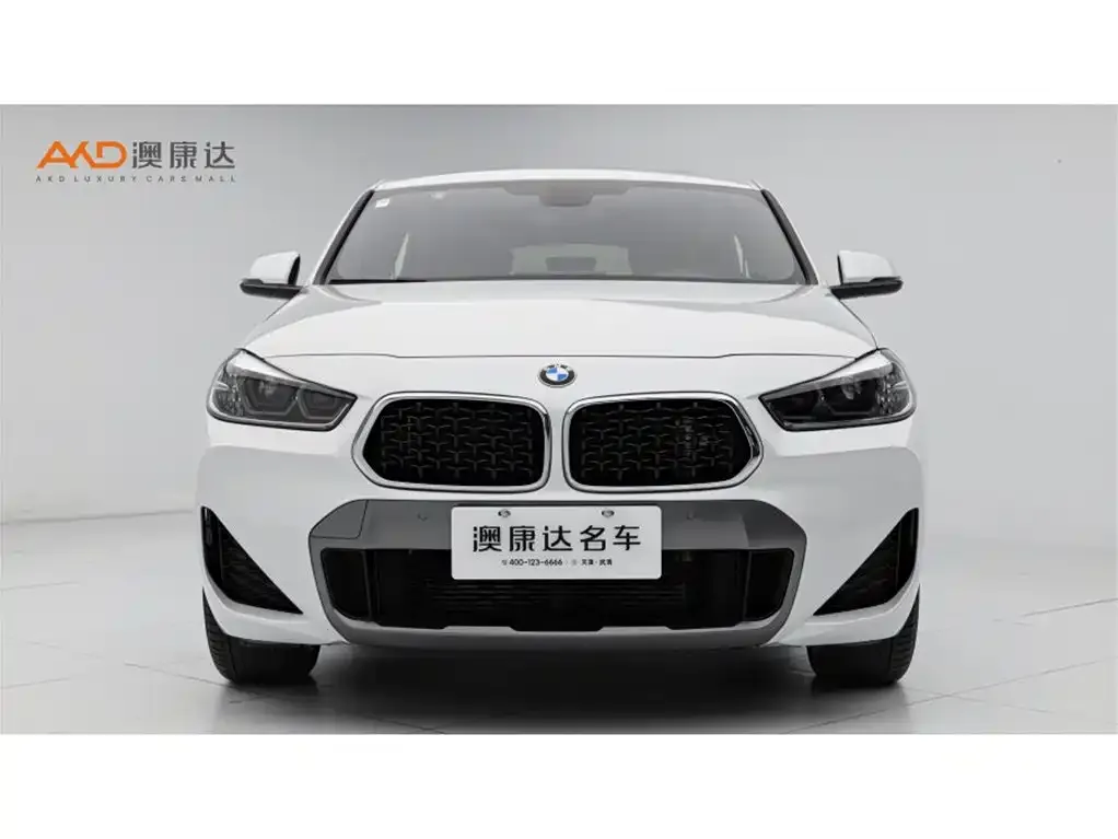 BMW X2 2022 из CN, фото 2