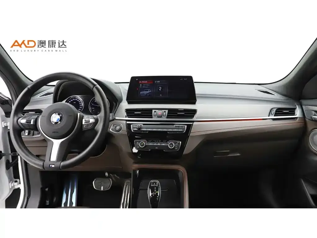 BMW X2 2022 из CN, фото 10