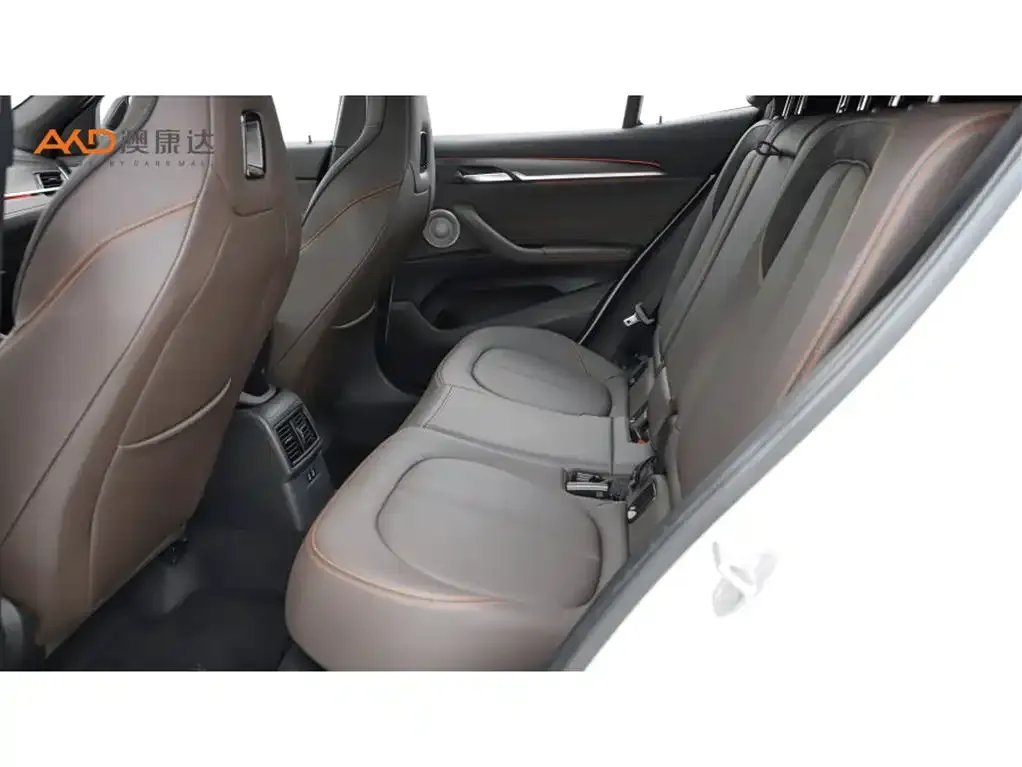BMW X2 2022 из CN, фото 4