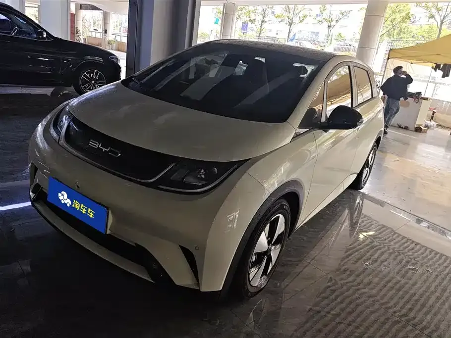 BYD Dolphin