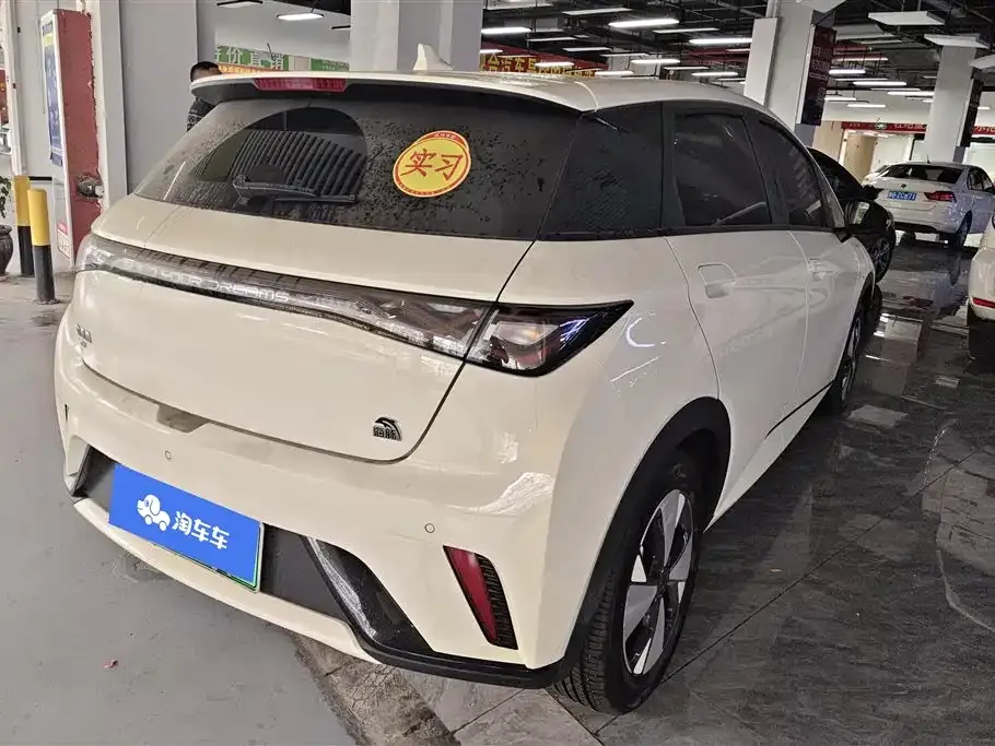 BYD Dolphin 2023 из CN, фото 10