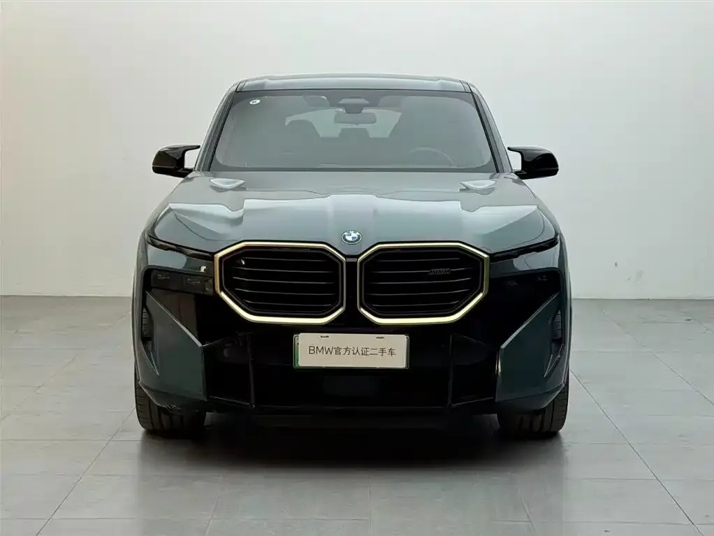 BMW XM 2023 из CN, фото 5