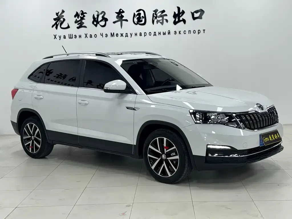 Skoda Kamiq 2023 из CN, фото 9
