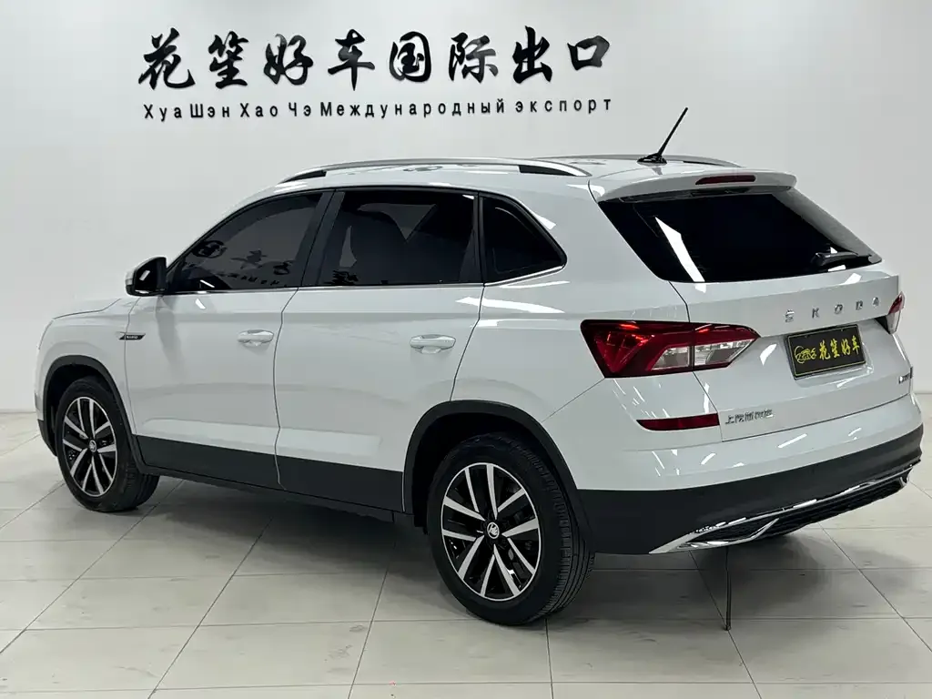 Skoda Kamiq 2023 из CN, фото 6