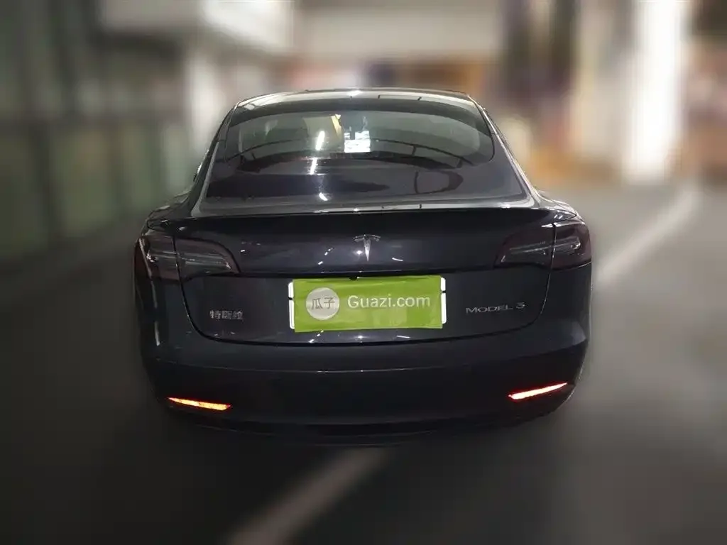 Tesla Model 3 2021 из CN, фото 5