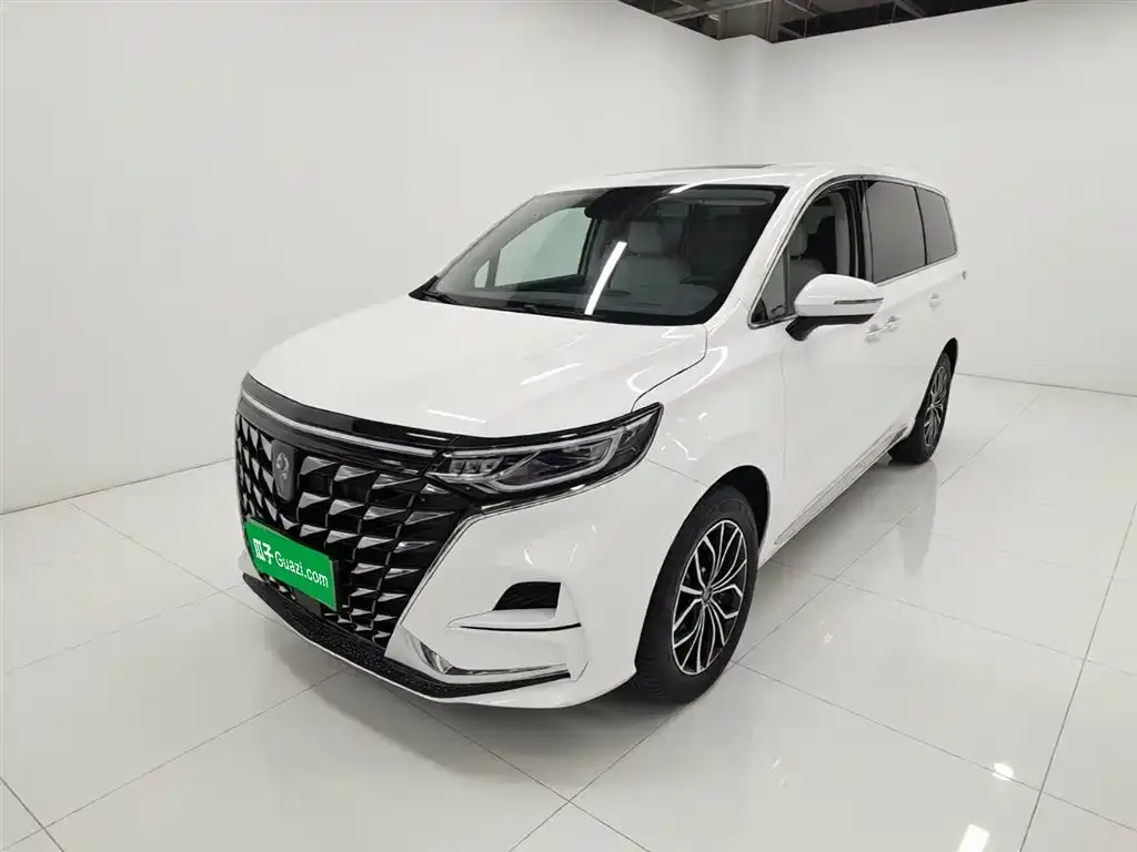 Roewe iMAX8 New Energy 2025 из CN, фото 2