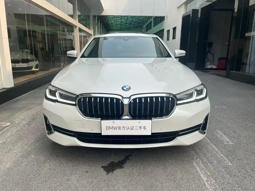BMW 5 Series 2022 из CN, фото 2
