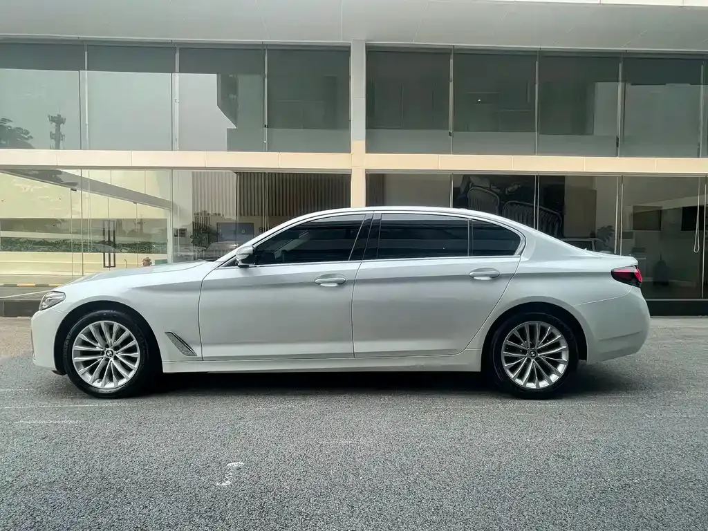 BMW 5 Series 2022 из CN, фото 6