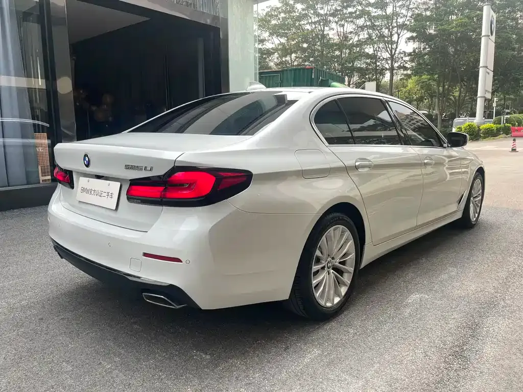 BMW 5 Series 2022 из CN, фото 8