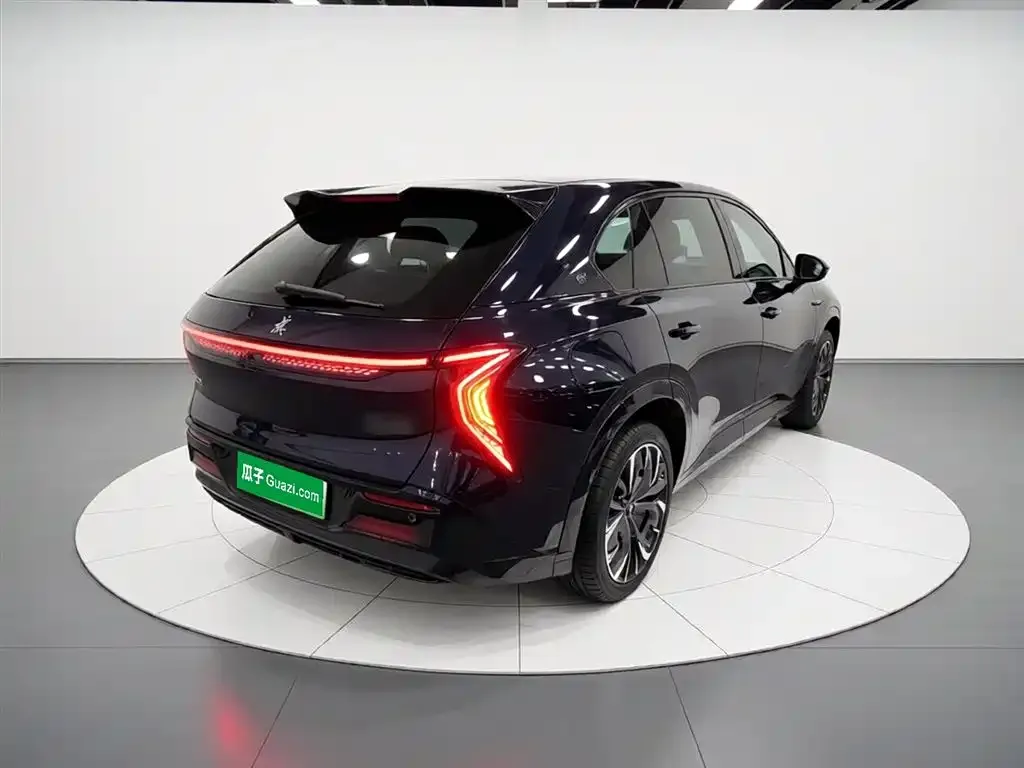 Hongqi Tiangong 08 2024 из CN, фото 8