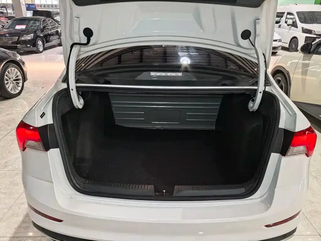 Skoda Rapid 2022 из CN, фото 6