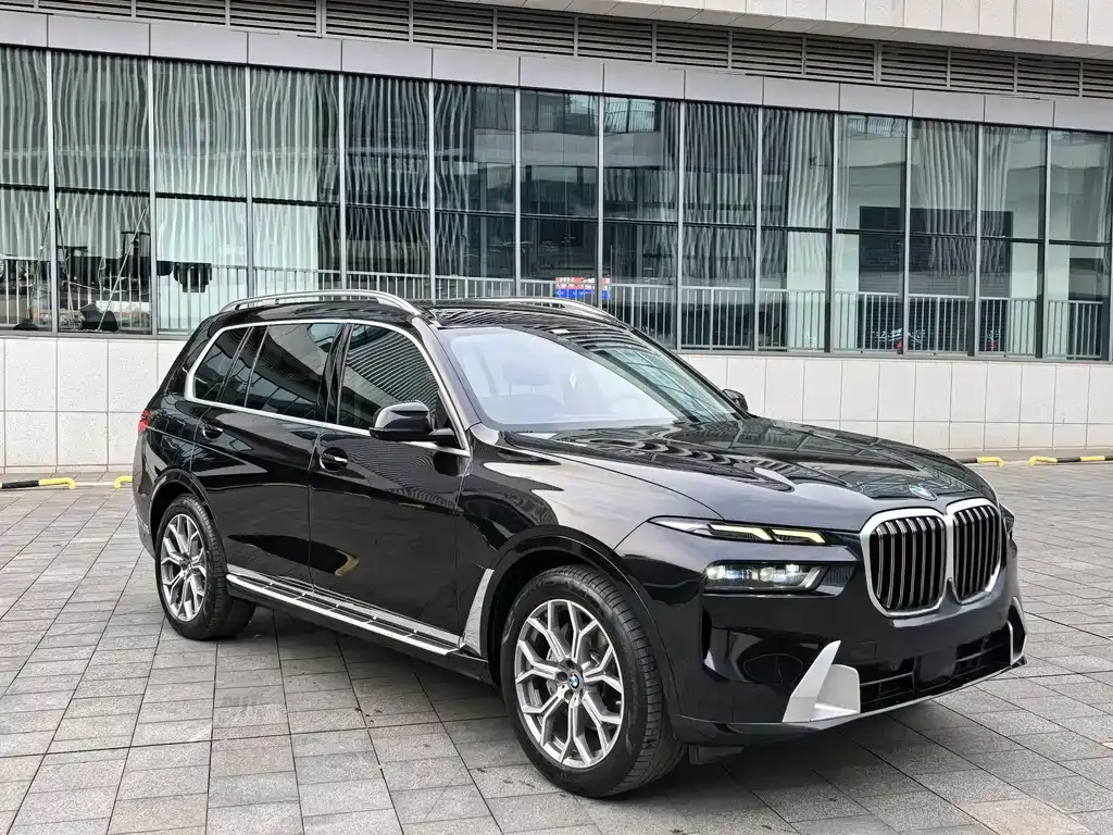 BMW X7 — фото 9
