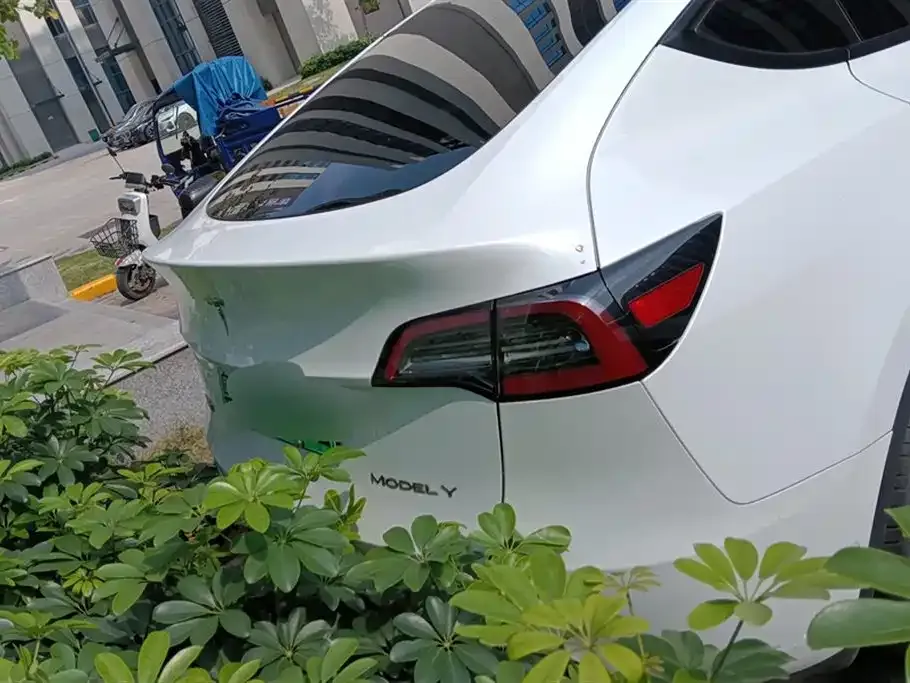 Tesla Model Y — фото 9