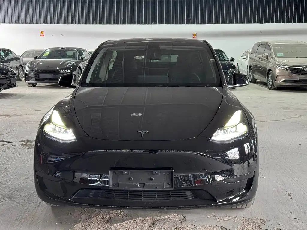 Tesla Model Y — фото 9