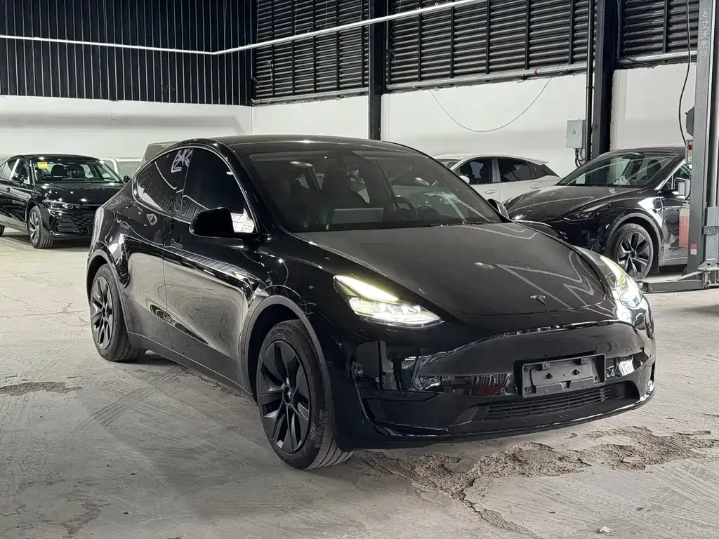 Tesla Model Y — фото 7