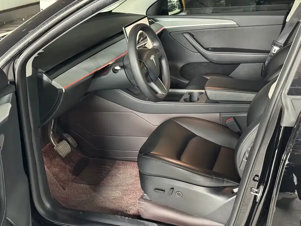 Tesla Model Y — фото 2