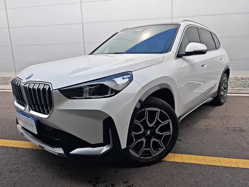 BMW X1 — фото 1