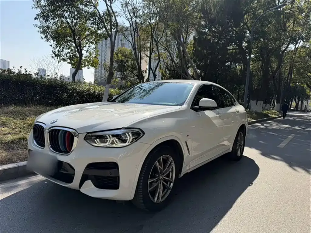 BMW X4 2021 из CN, фото 7