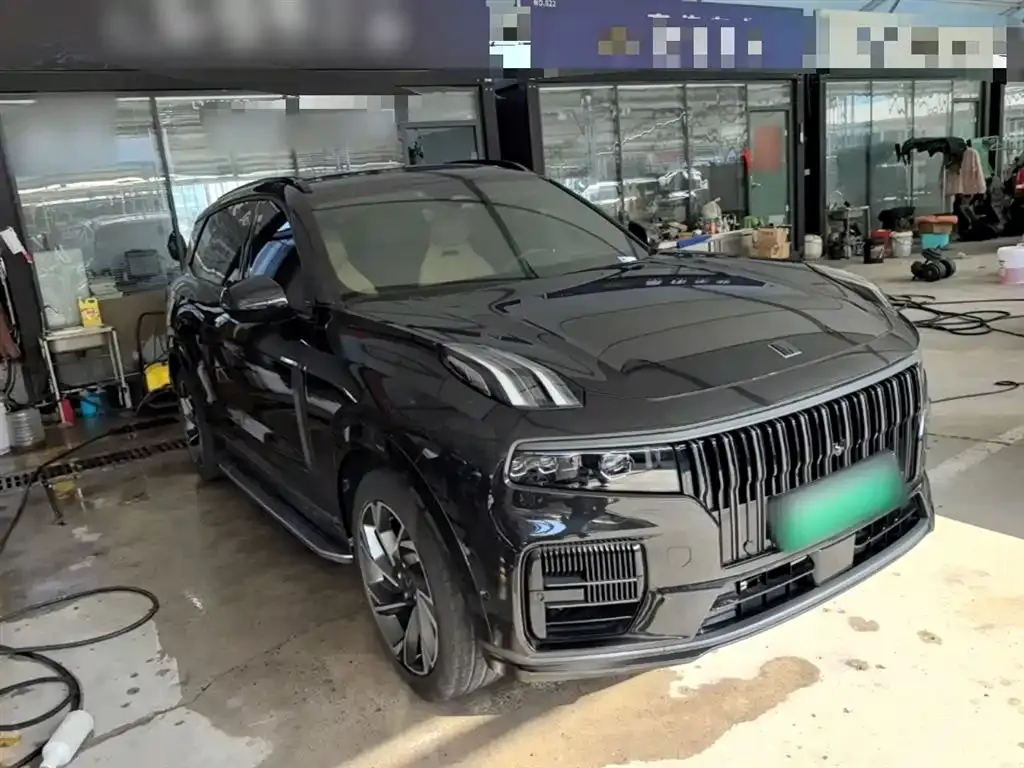 Lynk & Co 09 PHEV 2023 из CN, фото 8