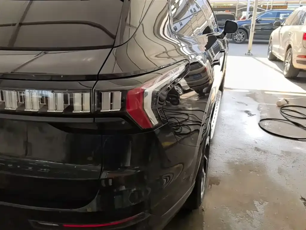 Lynk & Co 09 PHEV 2023 из CN, фото 4