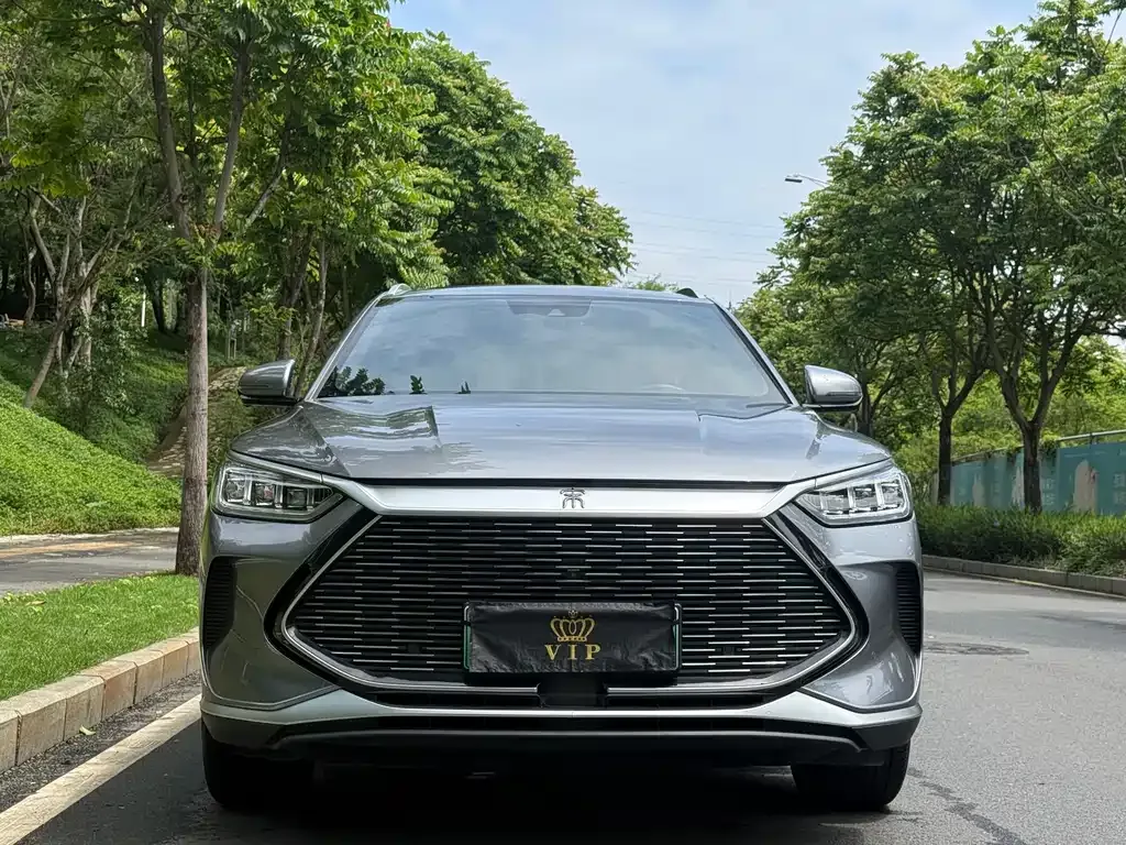 BYD PLUS New Energy — фото 8