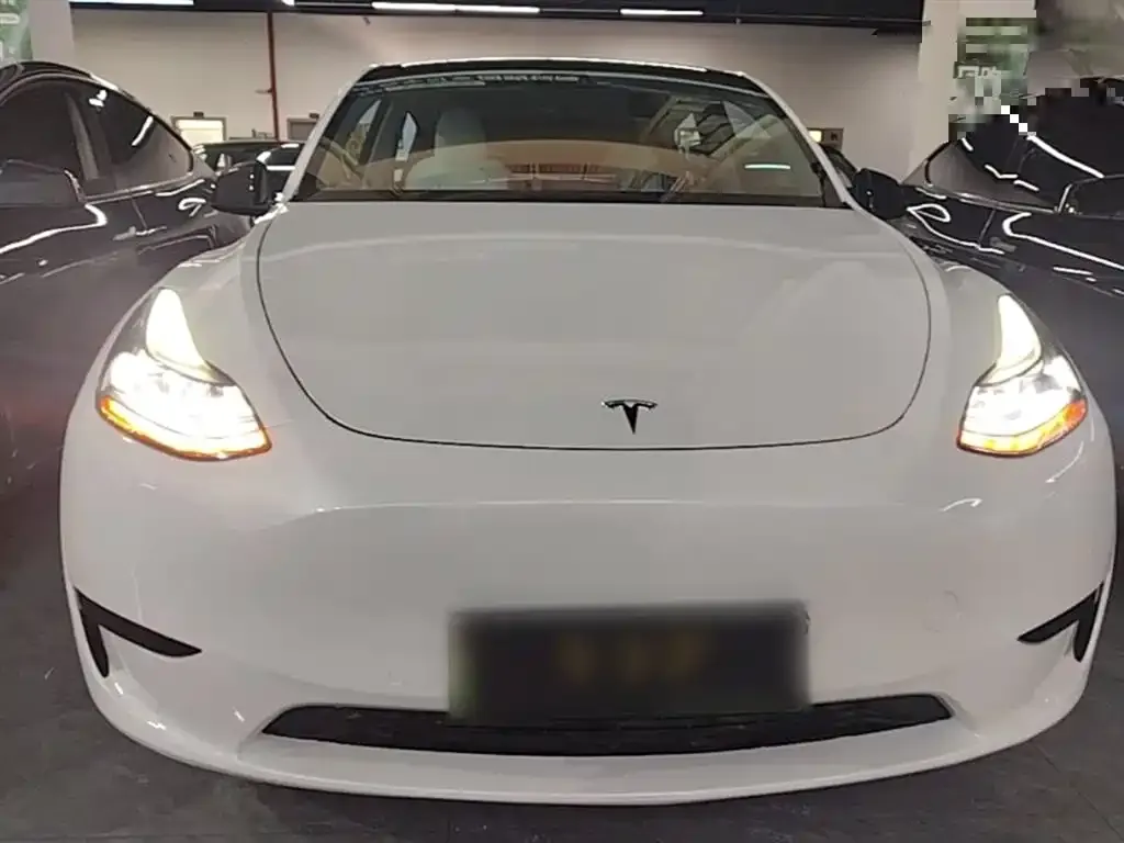 Tesla Model Y — фото 3