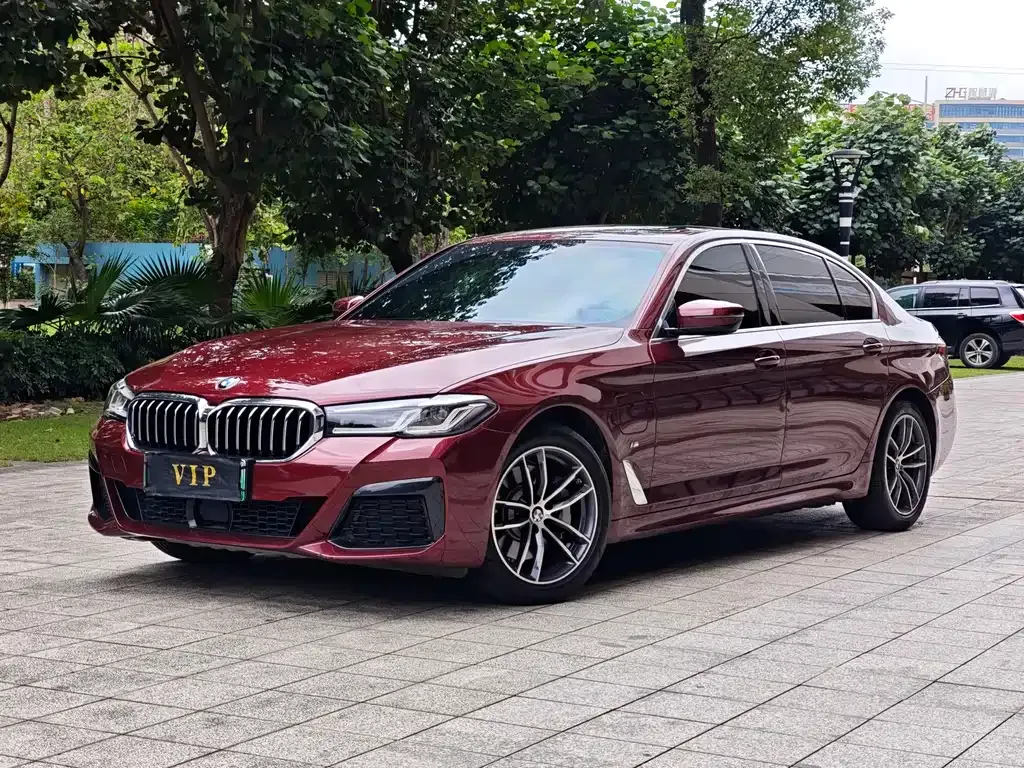 BMW 5 Series New Energy 2021 из CN, фото 1