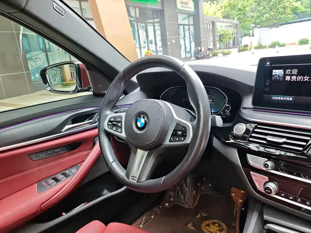 BMW 5 Series New Energy 2021 из CN, фото 3