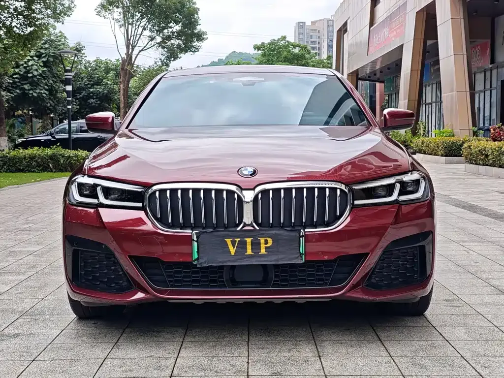 BMW 5 Series New Energy 2021 из CN, фото 6