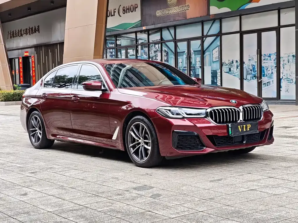 BMW 5 Series New Energy 2021 из CN, фото 7